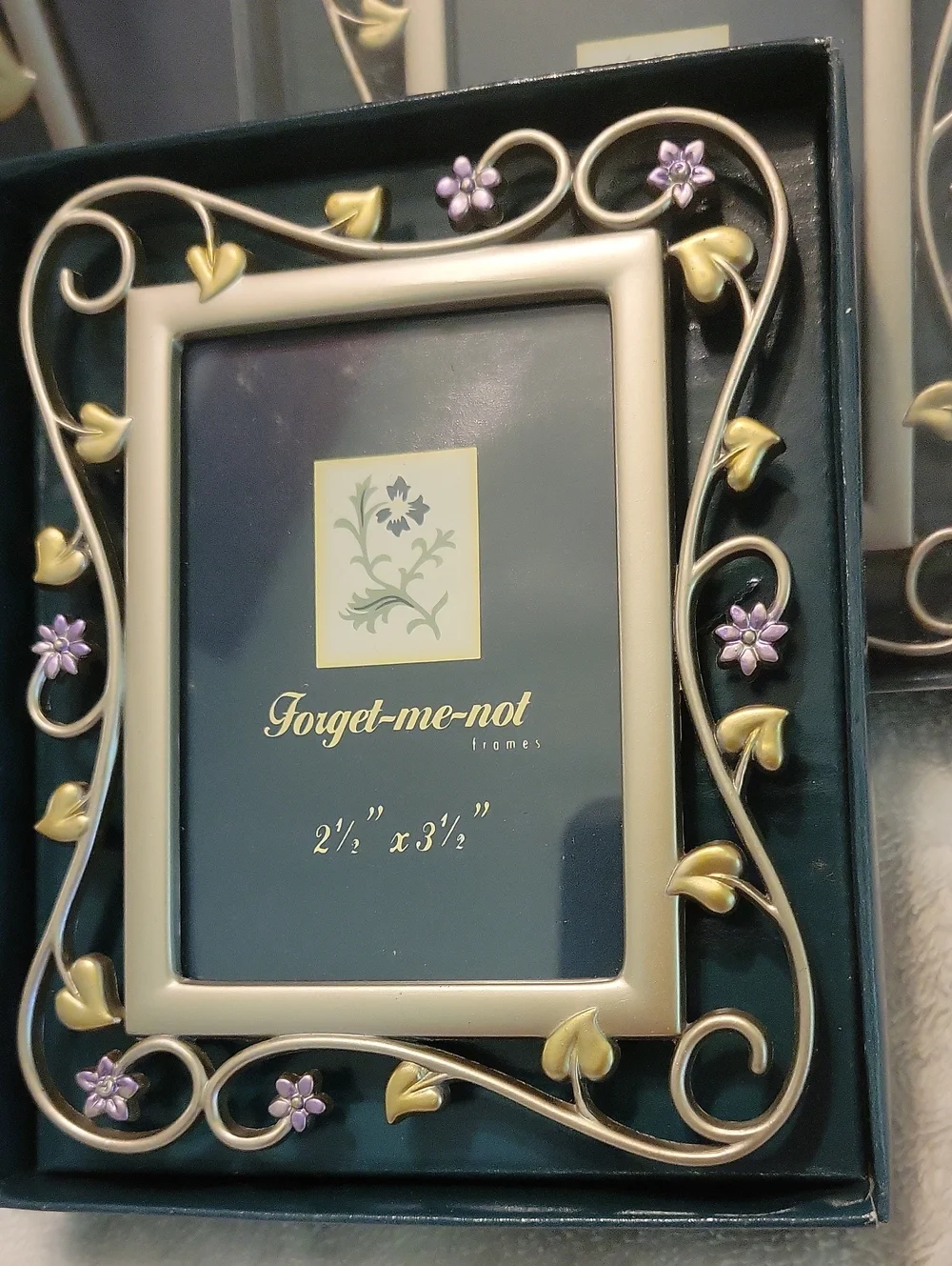 Forget Me Not Frame Lot